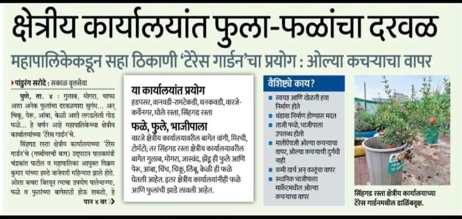 WhatsApp Image 2024-05-31 at 8.33.04 PM (1)