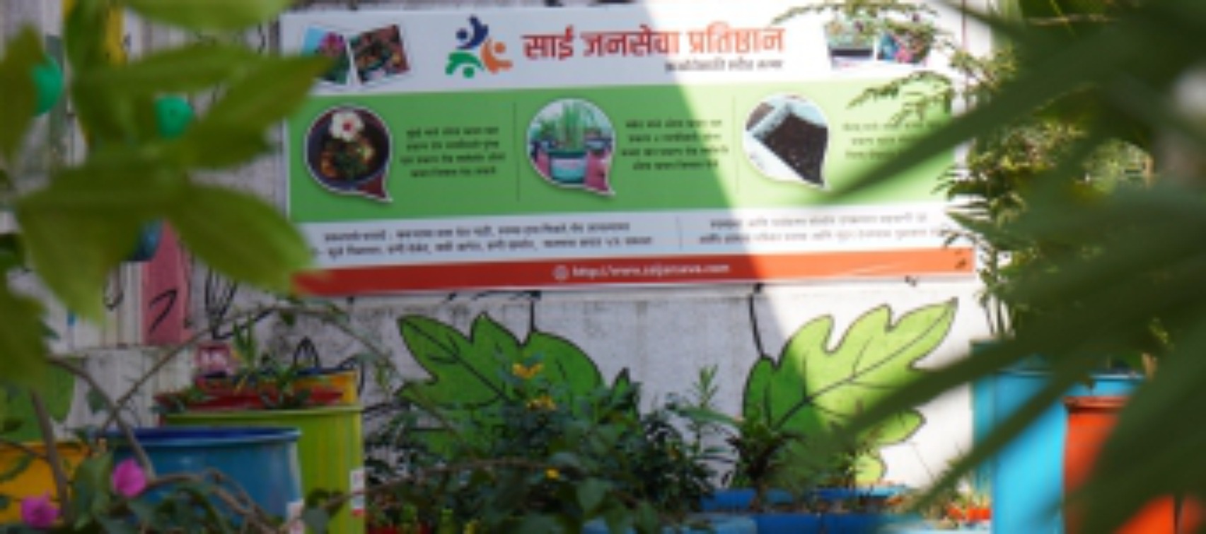 Ngo