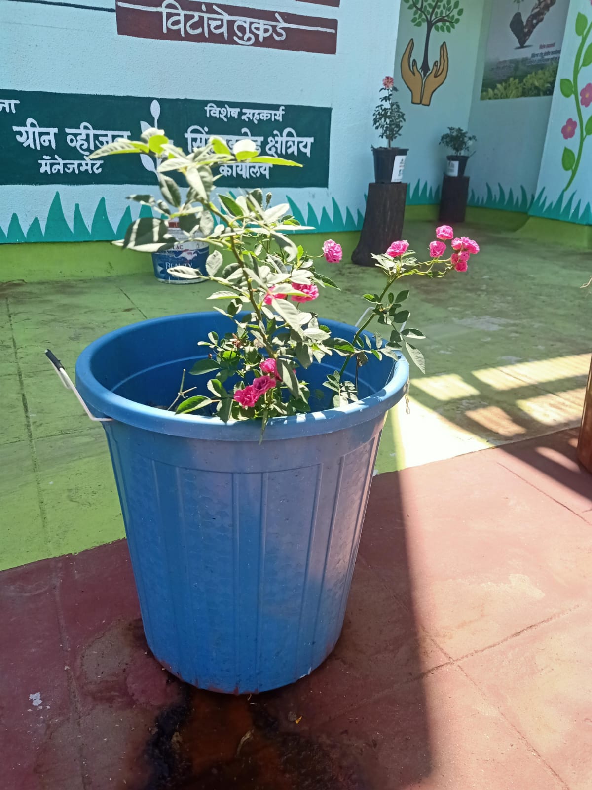 WhatsApp Image 2024-05-31 at 8.32.48 PM (1)